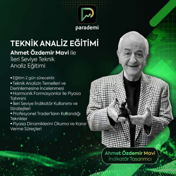 Ahmet Özdemir Mavi ile Online İleri Seviye Teknik Analiz ve İndikatör Eğitimi 