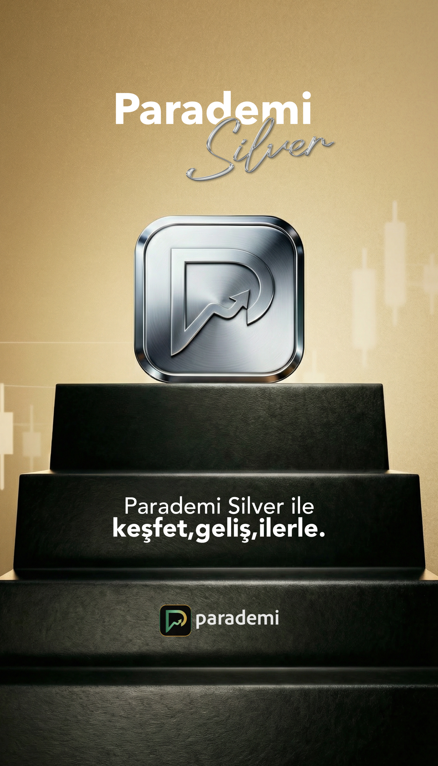 Parademi Silver Paket 2026